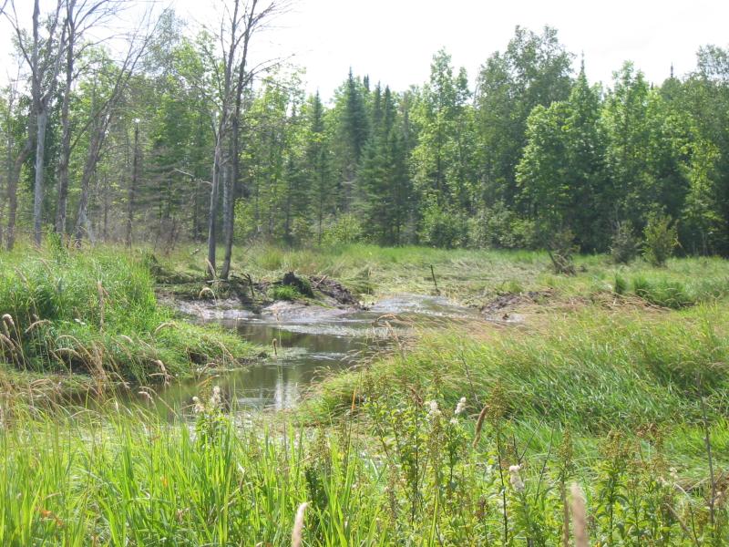 Beaver Dam. After Destruction!!