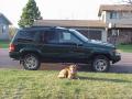 My dog Nike in front of the Jeep